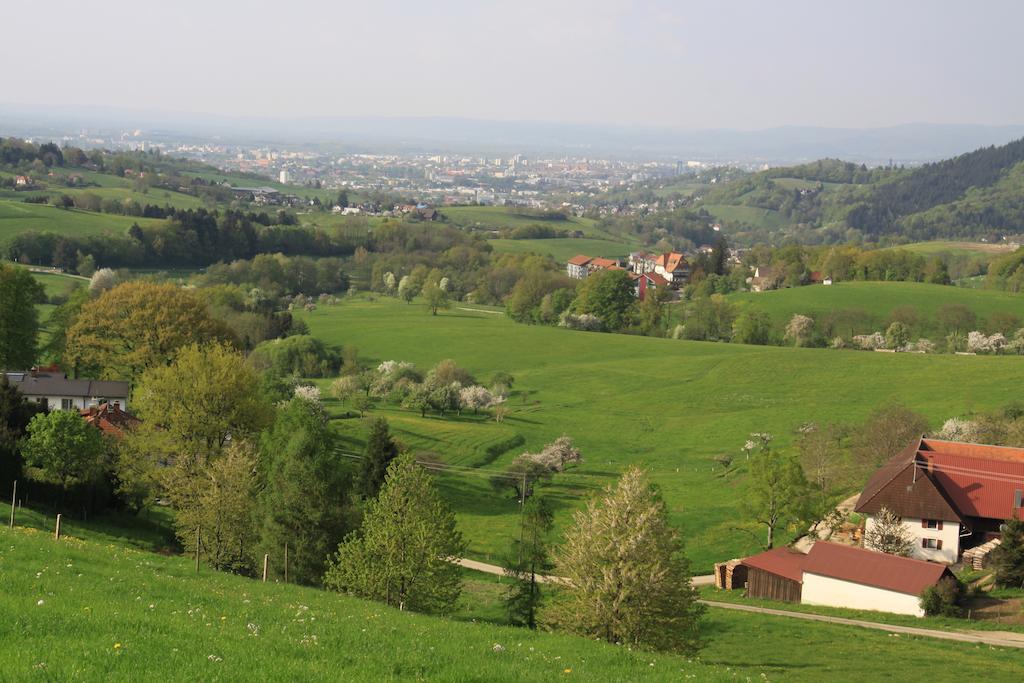 Sölden Luxus Appartement Schwarzwald Bei Freiburg 4 Schlafzimmer Sauna חדר תמונה